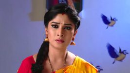 Krishnaveni S01E234 Sudha Learns a Shocking Truth Full Episode