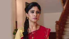Krishnaveni S01E237 Sudha Learns the Truth Full Episode