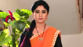 Krishnaveni S01E248 Sudha's Stern Decision Full Episode