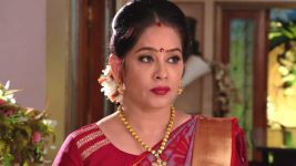 Krishnaveni S01E300 Vishwanatham Returns Home Full Episode