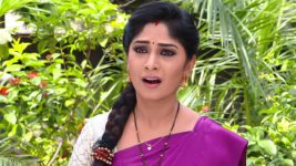 Krishnaveni S01E305 A Shock for Sudha Full Episode