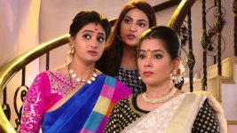 Krishnaveni S01E324 Sudha, Kalyan at Indrani's House Full Episode