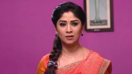 Krishnaveni S01E363 Indrani Humiliates Sudha Full Episode