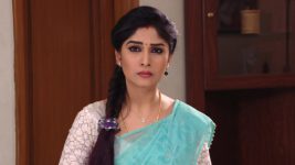 Krishnaveni S01E368 Sudha Is Heartbroken Full Episode