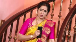 Krishnaveni S01E43 Indrani Gets Suspicious Full Episode