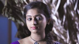 Lakshmi Kalyaanam star vijay S01E96 Lakshmi, Kalyaan Start Afresh Full Episode