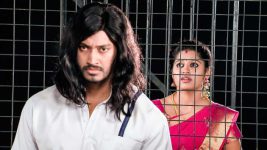 Malleeswari S01E19 Malleeswari Meets Rana in Jail Full Episode