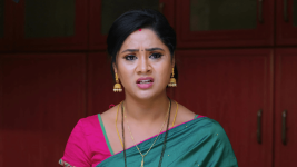 Manasichi Choodu S01E565 Bhanumathi opposes Padma Full Episode