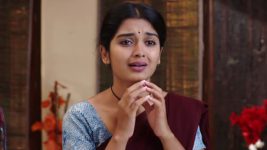 Mouna Raagam (Telugu) S01E14 Ammulu Is Disappointed Full Episode