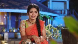Mouna Raagam (Telugu) S01E33 Ammulu Gets Trapped Full Episode