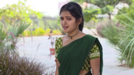 Mouna Raagam (Telugu) S01E43 Ammulu's Shocking Revelation Full Episode