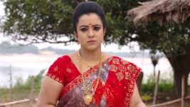 Mouna Raagam (Telugu) S01E53 Nandini Visits Seenaiah's House Full Episode