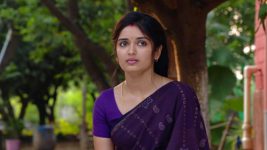 Mouna Raagam (Telugu) S01E589 An Advice to Ammulu Full Episode