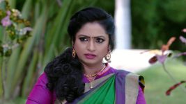 Mouna Raagam (Telugu) S01E596 Nandini Is Frustrated Full Episode