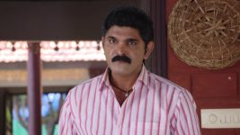 Mouna Raagam (Telugu) S01E601 Seenaiah Rejects Ammulu's Plea Full Episode