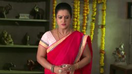 Mouna Raagam (Telugu) S01E61 Nandini at Crossroads Full Episode