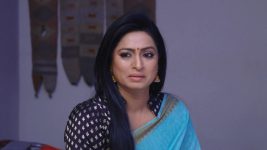 Mouna Raagam (Telugu) S01E630 Nandini Is Grateful Full Episode