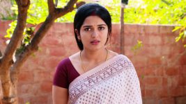 Mouna Raagam (Telugu) S01E632 Nandini Questions Ammulu Full Episode
