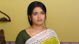 Mouna Raagam (Telugu) S01E635 Ammulu Makes a Request Full Episode