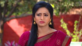Mouna Raagam (Telugu) S01E642 Nandini Confronts Ammulu Full Episode