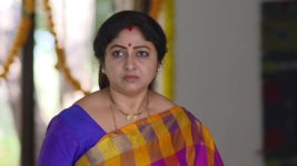 Mouna Raagam (Telugu) S01E646 Neelaveni Scolds Ammulu Full Episode