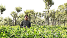 Nalamudan Vaazha S01E08 Benefits Of Green Tea Full Episode