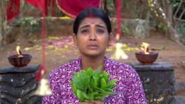 Neelakuyil S01E143 Chittu Prays for Jai Surya Full Episode