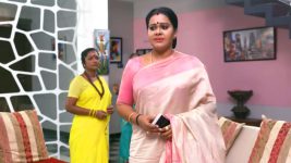 Neelakuyil S01E155 Radhamani Lashes Out Full Episode