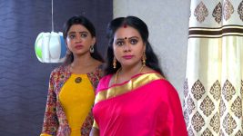 Neelakuyil S01E156 Radhamani Takes Over Full Episode