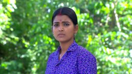 Neelakuyil S01E167 Chittu Faces a Stranger Full Episode