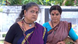 Neelakuyil S01E174 Deivanai at Jai Surya's House Full Episode