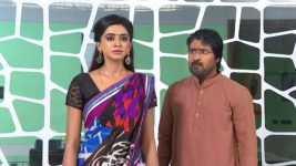 Neelakuyil S01E183 Rani Questions Sarath Chandra Full Episode