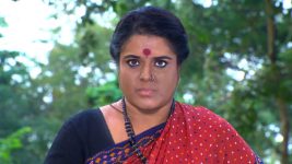 Neelakuyil S01E30 Deivanai to Meet Chittu Full Episode