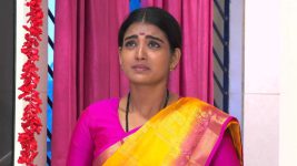 Neelakuyil S01E52 Chittu Is Worried Sick Full Episode
