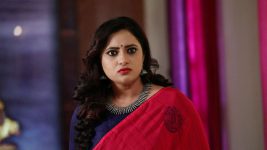 Neelambari (Kannada) S01E65 9th January 2019 Full Episode