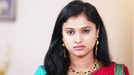Neeli S01E17 Rekha Misleads Surya Full Episode