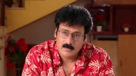 Neevalle Neevalle (Star Maa) S01E138 Arjun Prasad Requests Preethi Full Episode