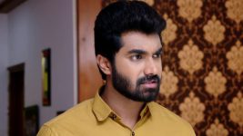 Neevalle Neevalle (Star Maa) S01E149 Rocky Backs Preethi Full Episode