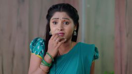 Nuvvu Nenu Prema S01E22 Padmavathi's Foolish Act Full Episode