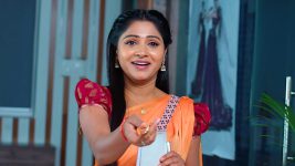 Nuvvu Nenu Prema S01E29 Padmavathi's Smart Move Full Episode