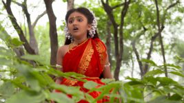 Om Namah Shivay S01E06 Sati Escapes! Full Episode