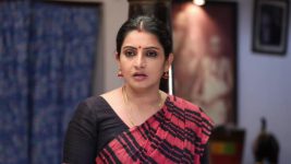 Pandian Stores S01E04 Dhanam in Grief Full Episode