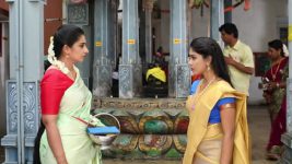 Pandian Stores S01E48 Meena Talks to Dhanam Full Episode