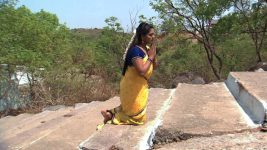 Pavitra Bandham S01E111 Ganga's Religious Deed Full Episode