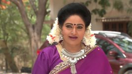 Pavitra Bandham S01E134 Madhumati Supports Vidya Full Episode