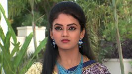 Pavitra Bandham S01E159 Ganga's Loss, Vidya's Gain Full Episode