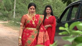 Pavitra Bandham S01E192 Rajeshwari and Vidya Team Up Full Episode