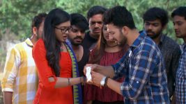 Pavitra Bandham S01E21 Vidya Gets Injured Full Episode