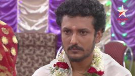 Punni Pukur S01E39 Samudra Decides to Marry Kakon Full Episode