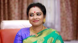 Raja Paarvai (vijay) S01E111 Mahalakshmi's Master Plan Full Episode